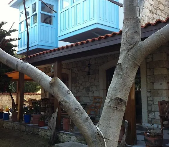 Ξενοδοχείο Aladi 2*