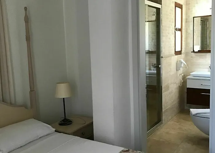 Ξενοδοχείο Aladi