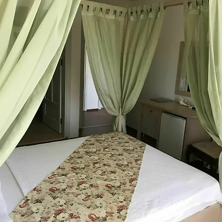 Aladi 酒店 阿拉恰特